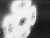 Fantasma (particolare),   neon a intermittenza, specchi, spazzatura,  dimensioni variabili,  1995, Quartiere militare borbonico di Casagiove (CS) 